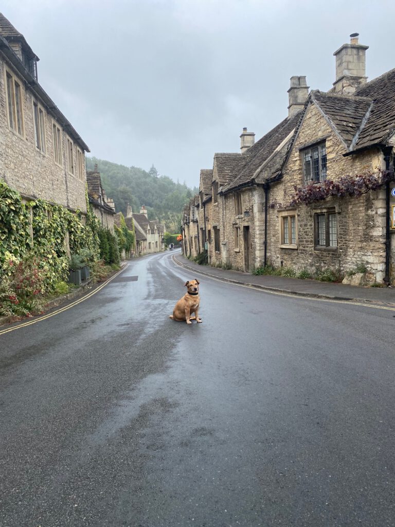 Ziggy speelt model midden op straat in Castle Combe