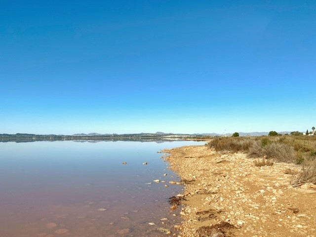 Pink lake of Torrevieja