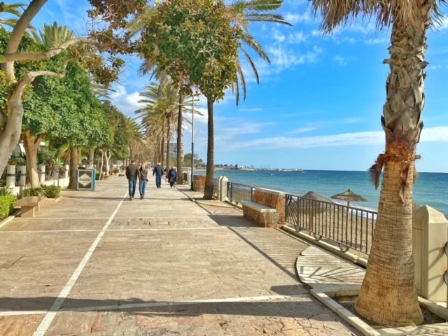 Heerlijke boulevard met al die palmbomen