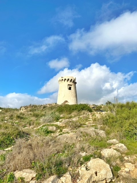 Het torentje boven op de berg