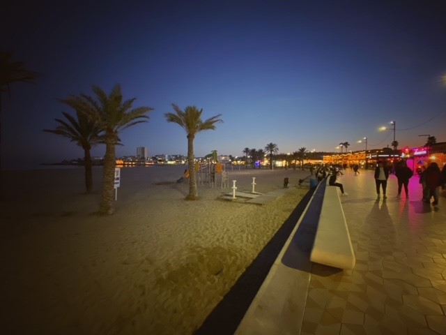 Javea boulevard by night