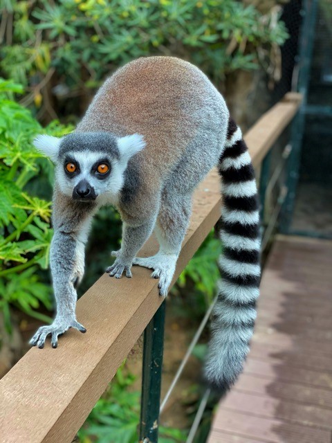 Alameda Wildlife Park