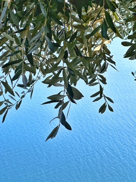 Ravello naar Castiglione