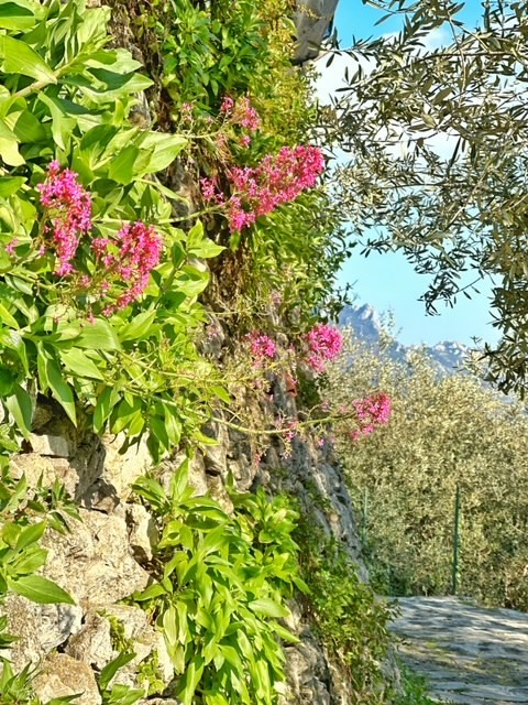 Ravello naar Castiglione