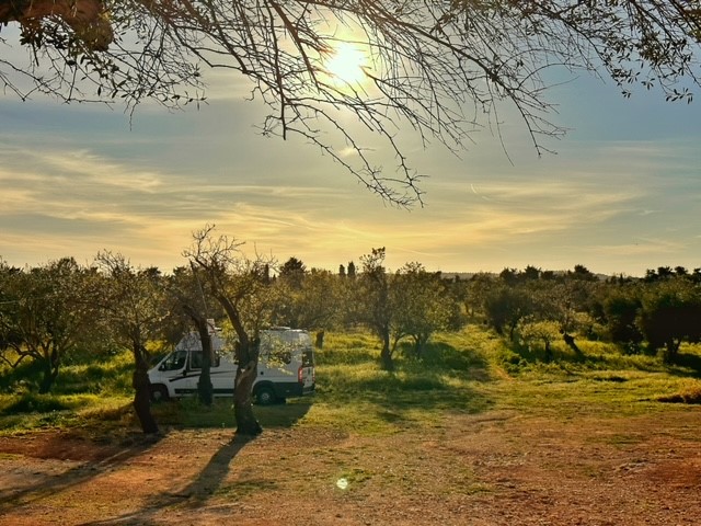 Agriturismo Calamosche Sicilië