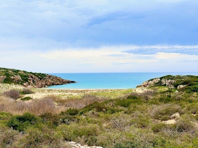 Spiaggia di Calamosche